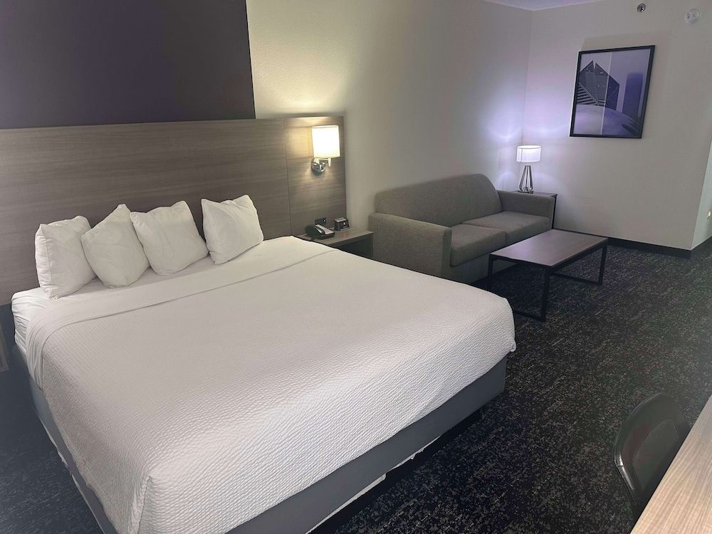 Standard Room, 1 King Bed, Non Smoking (with Sofabed)