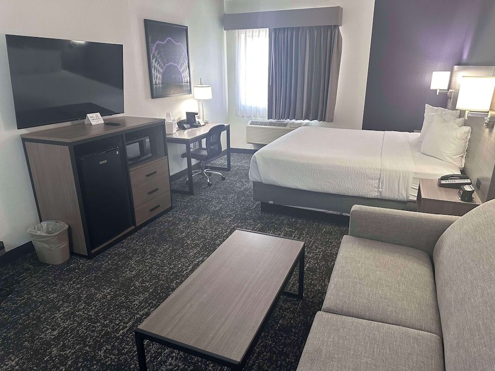 Standard Room, 1 King Bed, Non Smoking (Walk-in Shower;with Sofabed)