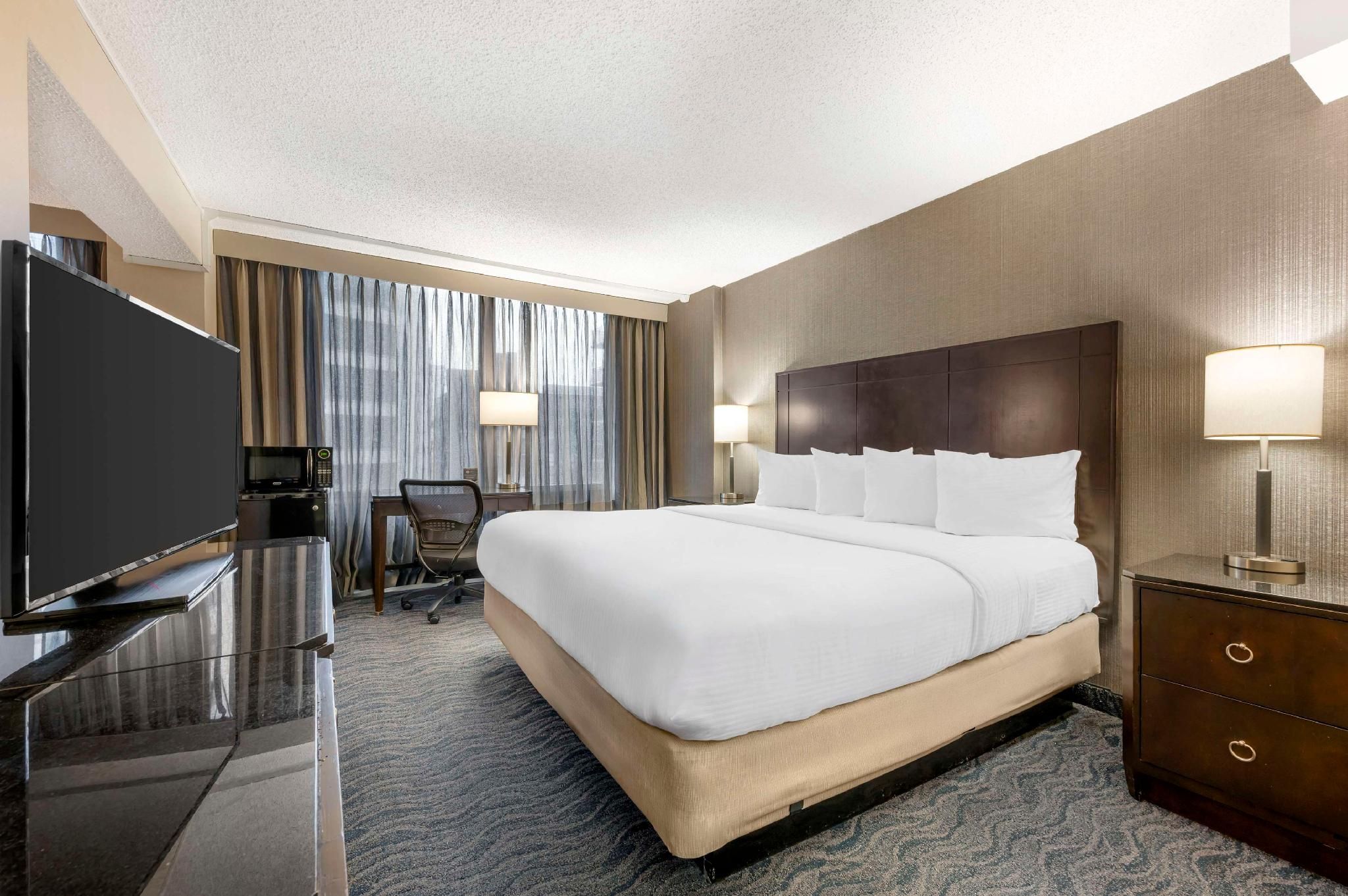 Suite-1 King Bed, NonSmoking, Sofabed