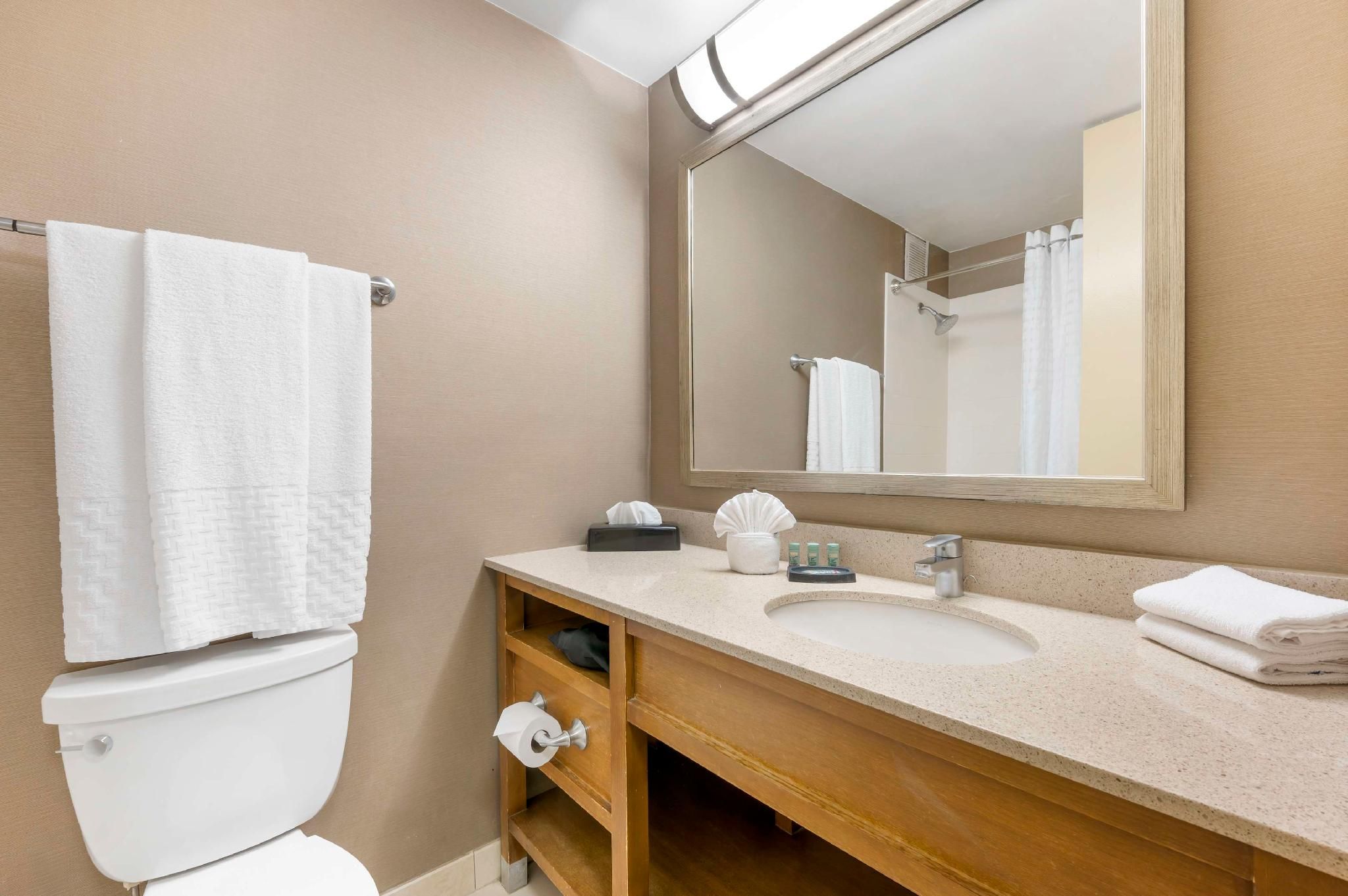 Suite-1 King Bed, NonSmoking, Sofabed