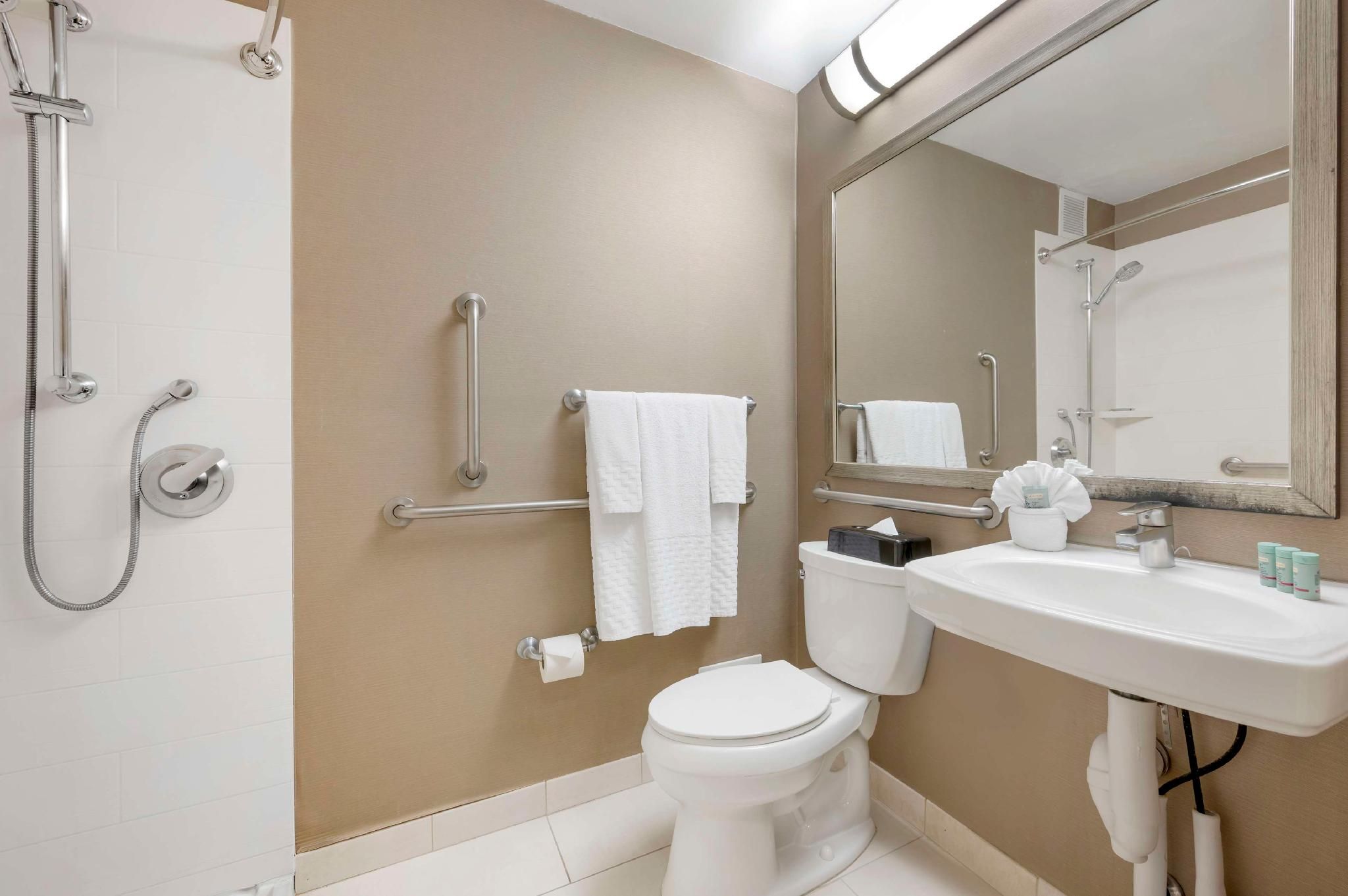 Accessibility - 1 Queen Bed, Roll-in Shower, Nonsmoking