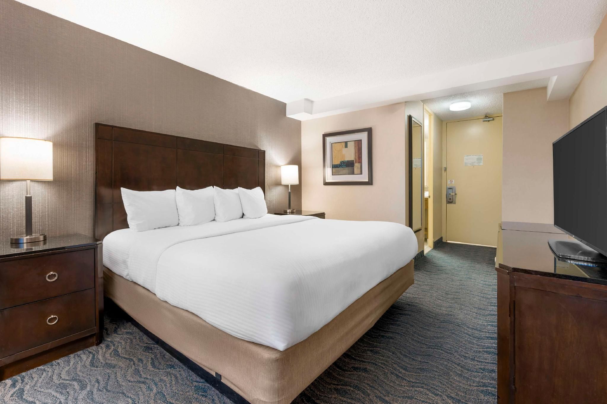 Accessibility - Suite-1 King Bed, Roll-in Shower, Nonsmoking