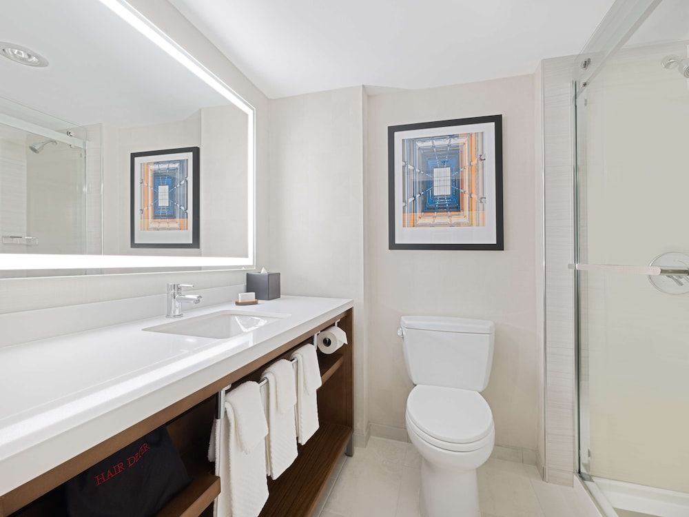 Embassy Suites by Hilton Chicago Downtown River North Suite, 1 King Bed with Sofa bed, City View (2 Room) 3