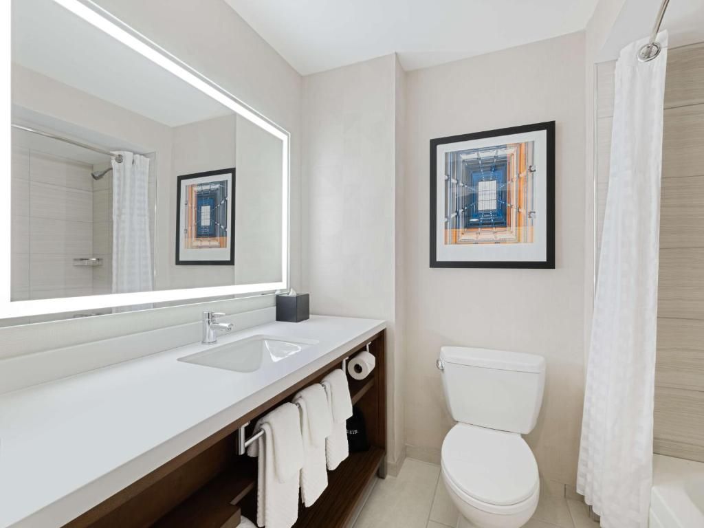 undefined Embassy Suites by Hilton Chicago Downtown River North 9