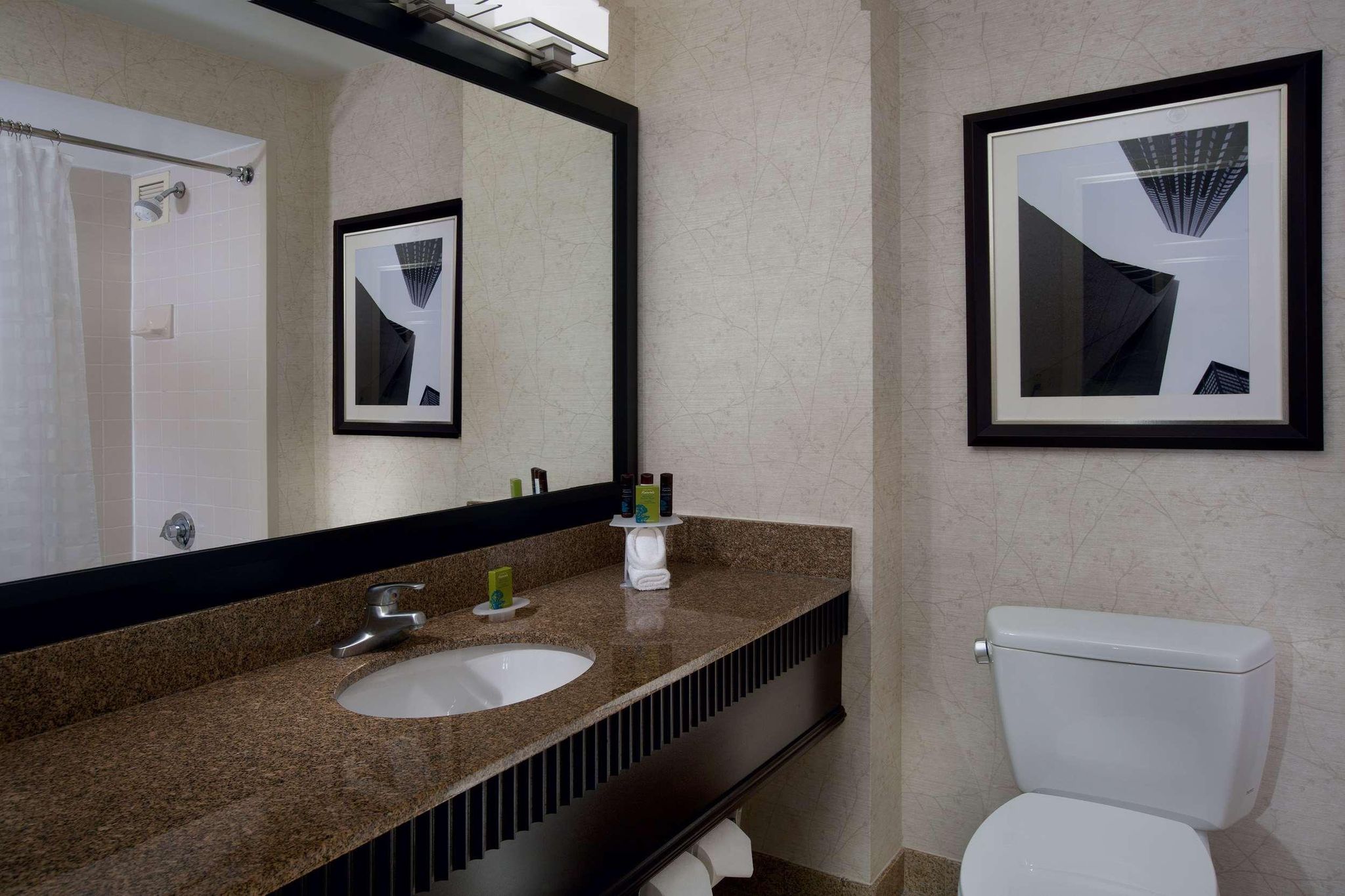 undefined Embassy Suites by Hilton Chicago Downtown River North 10