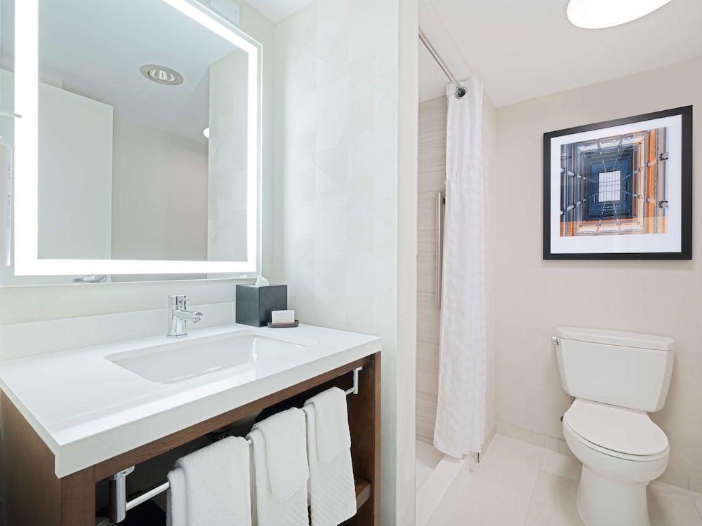 undefined Embassy Suites by Hilton Chicago Downtown River North 9