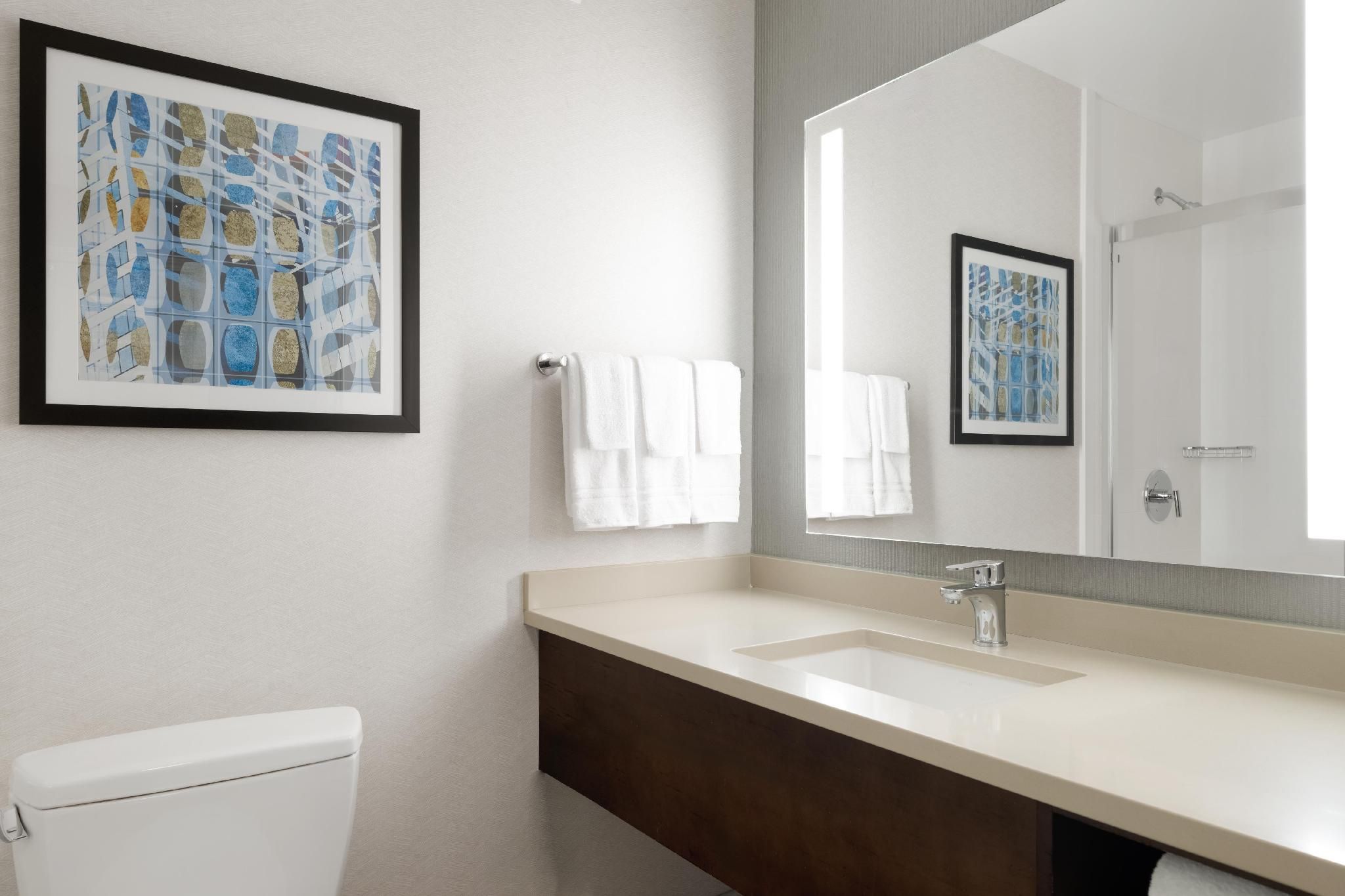 undefined Hilton Garden Inn Chicago Downtown/Magnificent Mile 10