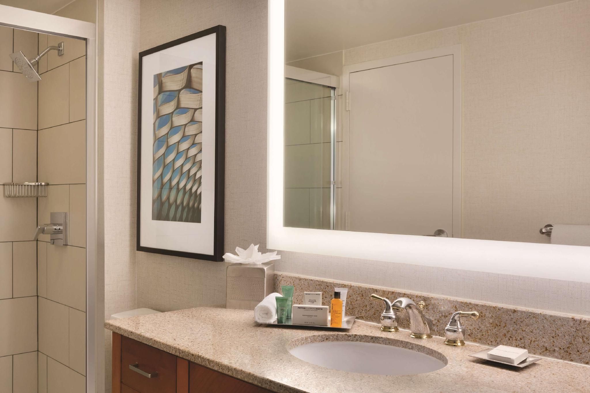 1 King Bed 1 Bedroom Suite Lakeview