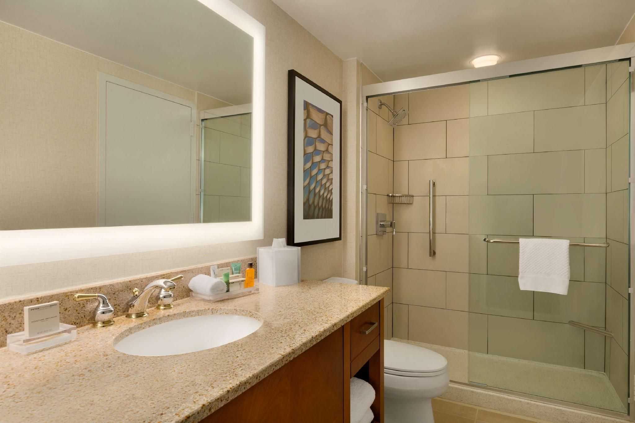 Hilton Chicago/Magnificent Mile Suites 2 Double Beds Studio Suite 3