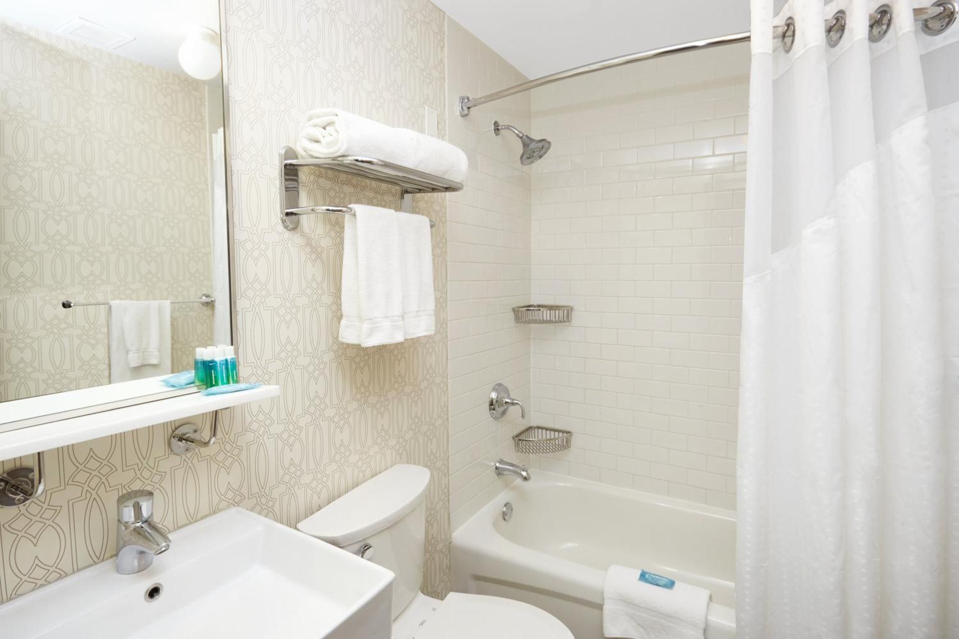 Holiday Inn Express Chicago - Magnificent Mile by IHG 1 King Standard 8