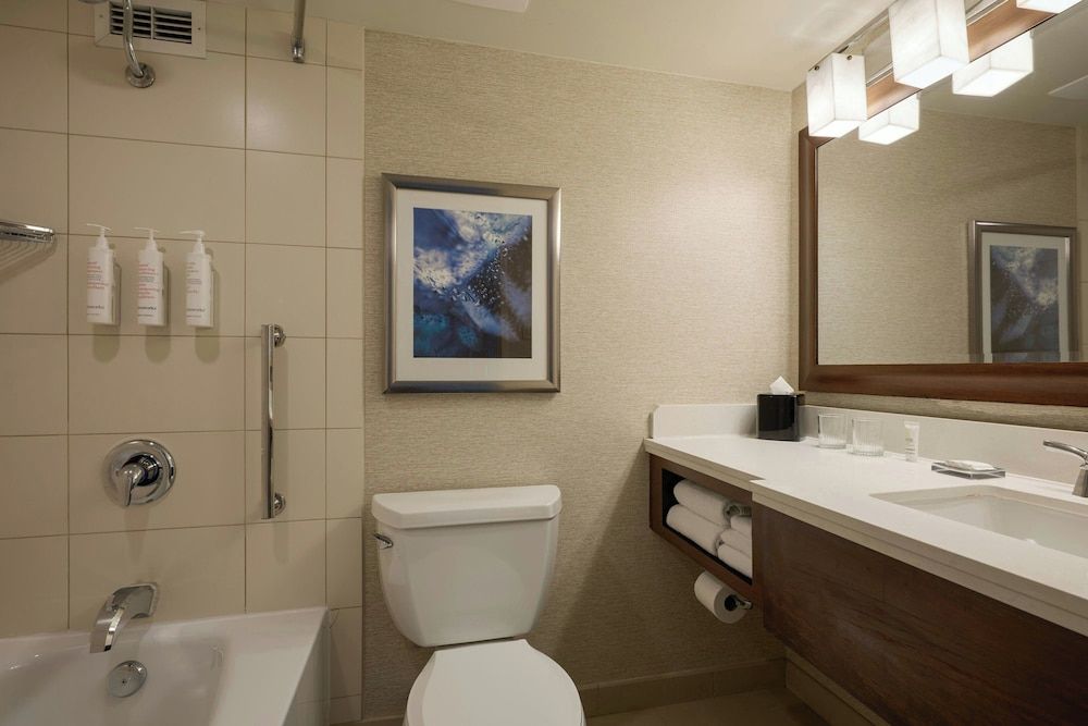 Marriott Chicago O'Hare Room, 1 King Bed 7