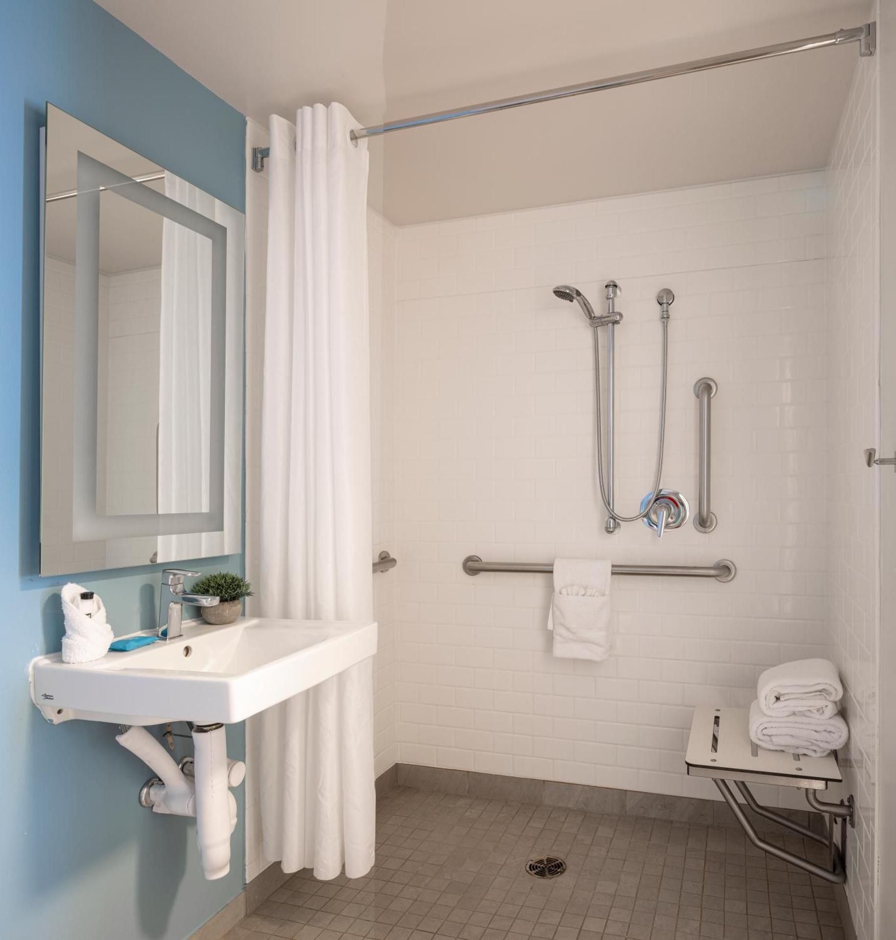 ADA Accessible Standard King with Roll-in Shower Non-Smoking