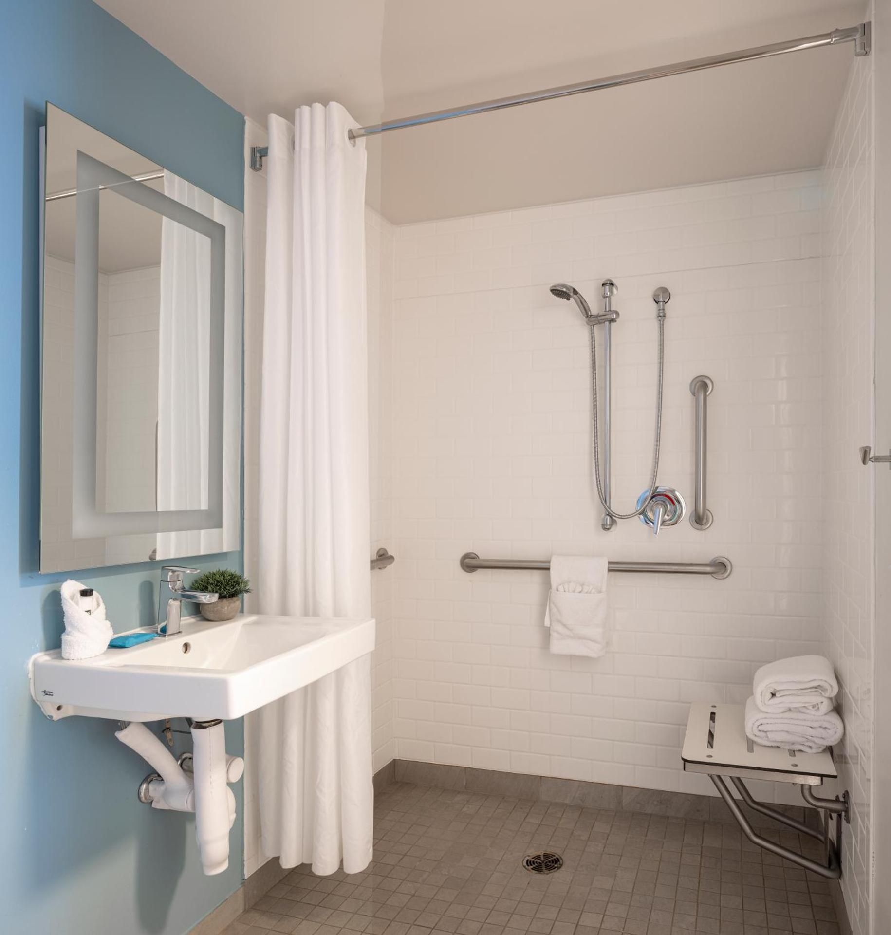ADA Accessible Standard King with Roll-in Shower Non-Smoking