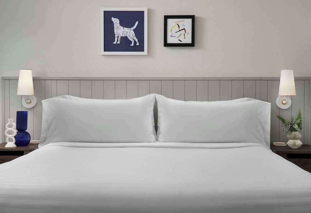 undefined Sonesta ES Suites Chicago Downtown Magnificent Mile - Medical 4