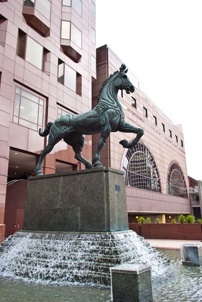 undefined The Buckingham Hotel 9