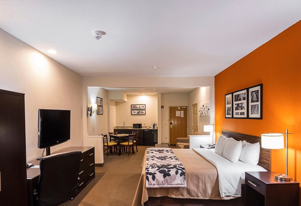 Suite, 1 King Bed with Sofa bed, Accessible, Non Smoking
