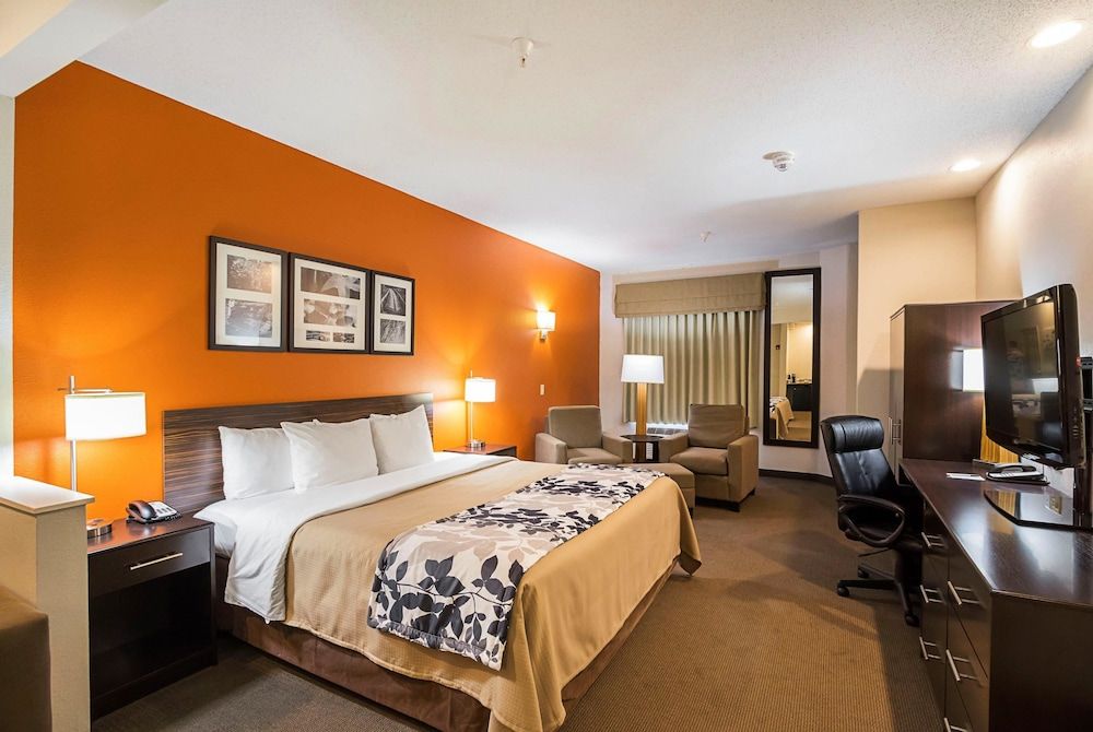 Room, 1 King Bed, Accessible, Non Smoking
