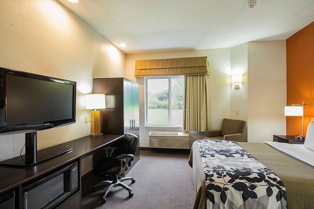 Room, 1 King Bed