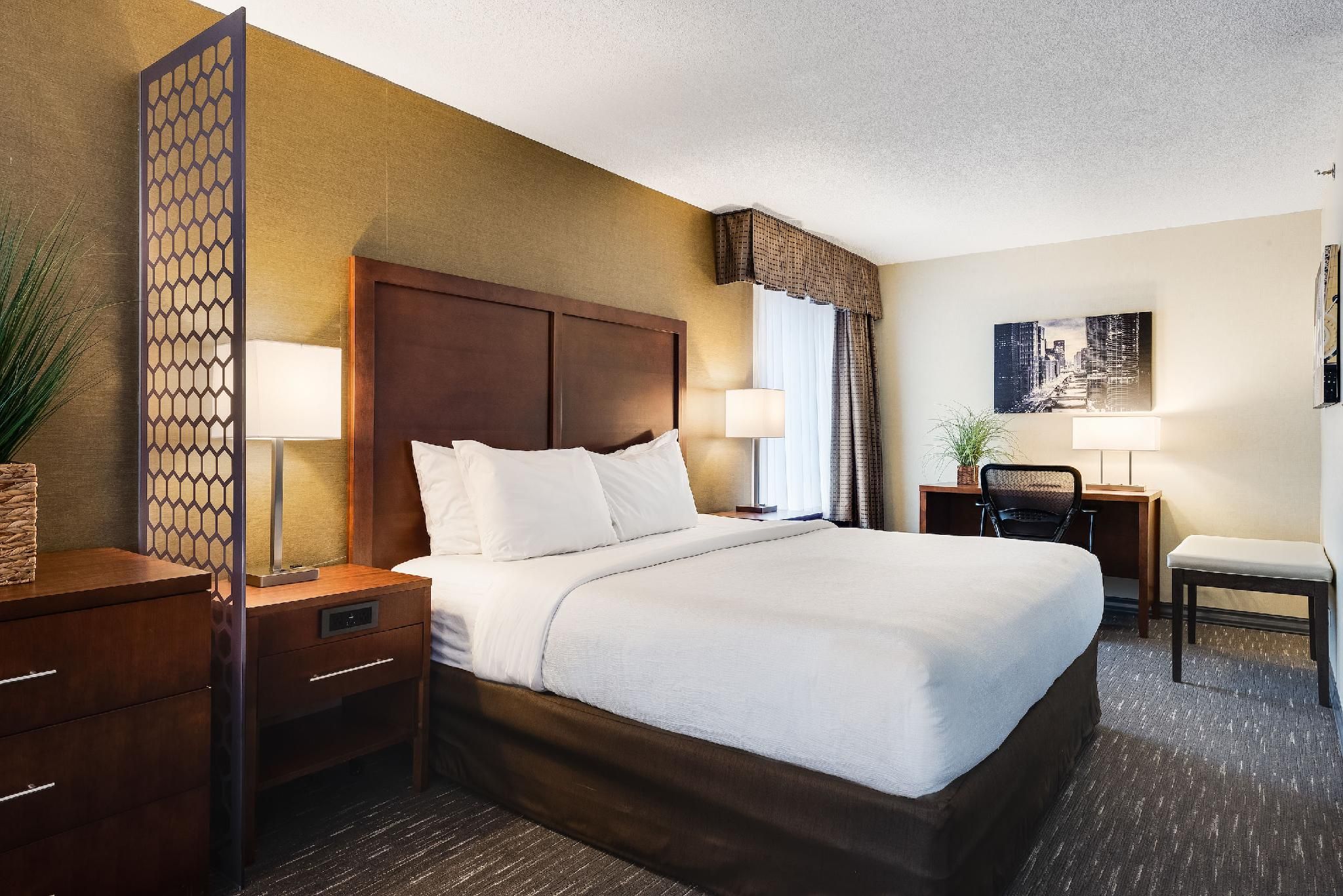 Suite - 1 King Bed, Nonsmoking, Sofabed, Corner Room
