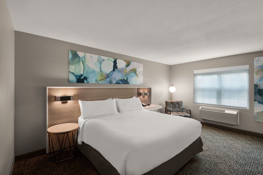 Room, 1 King Bed, Accessible, Non Smoking (Roll In Shower)