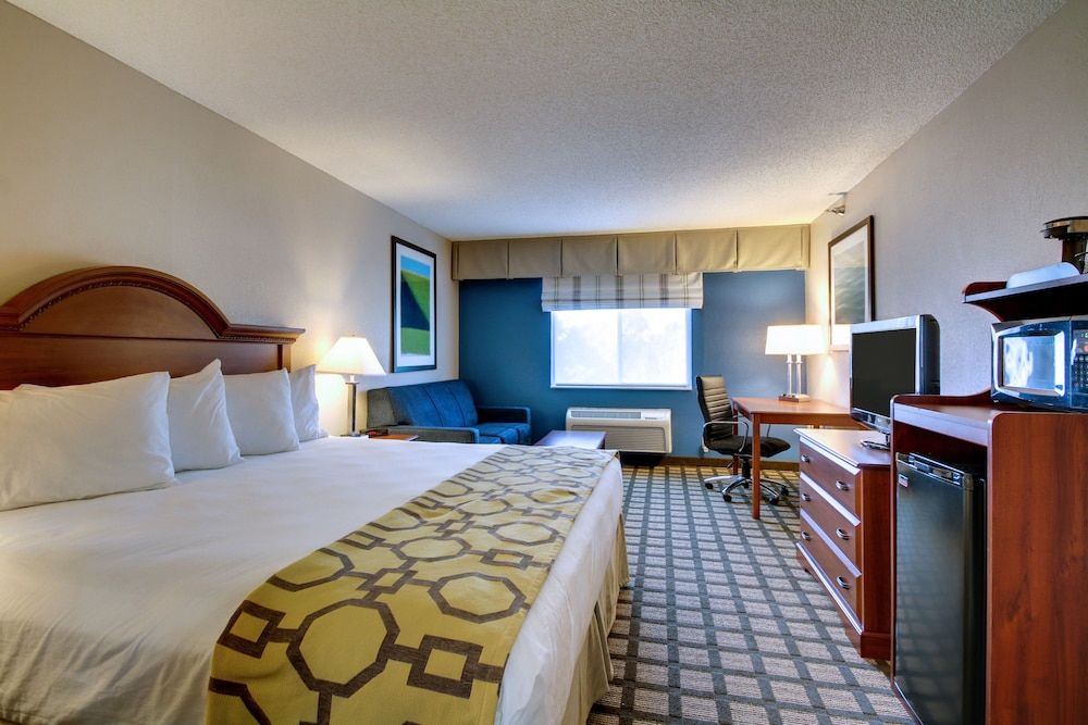 Room, 1 King Bed, Non Smoking