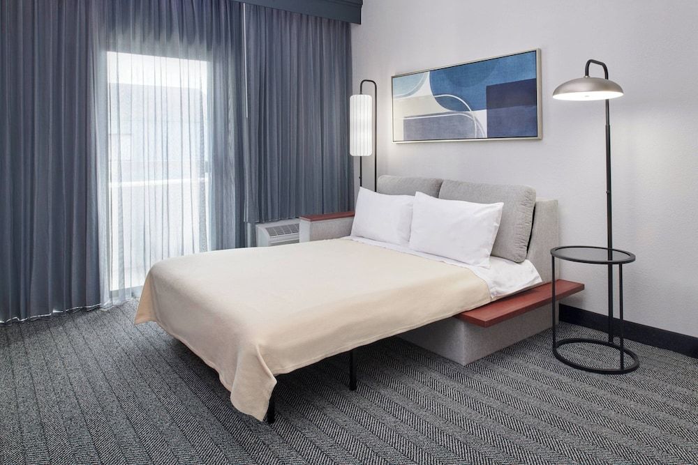 Room, 1 King Bed with Sofa bed