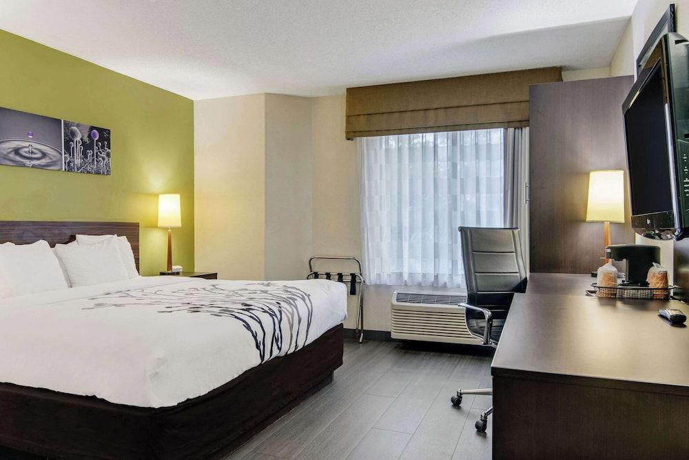 Room, 1 King Bed, Accessible, Non Smoking