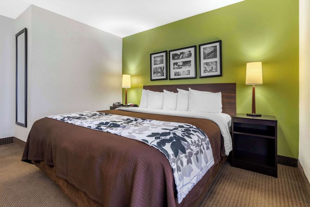 Room, 1 King Bed, Accessible, Non Smoking