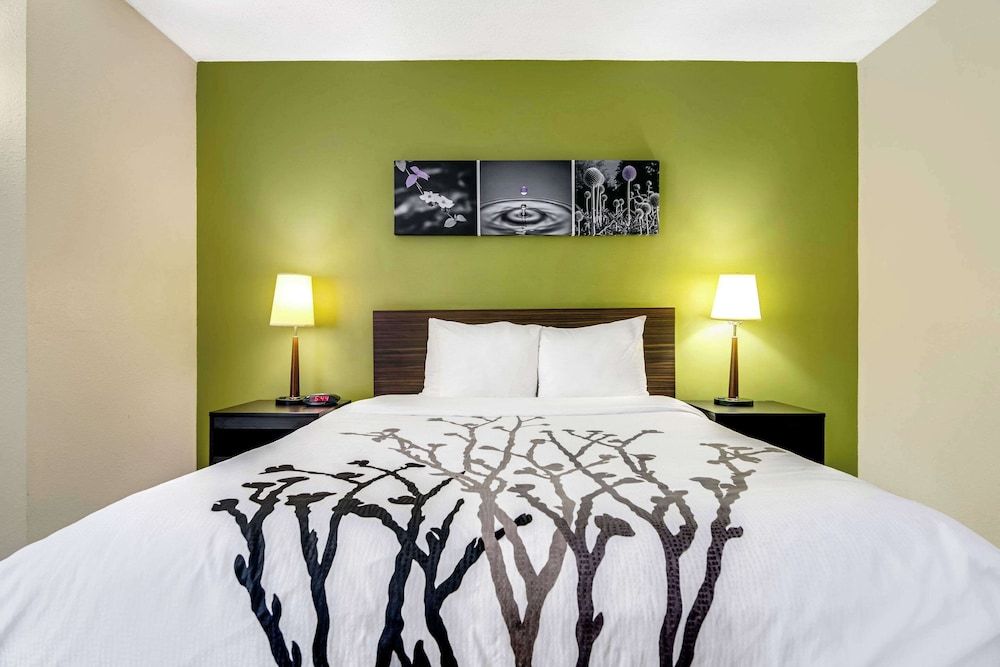 Room, 1 Queen Bed, Accessible, Non Smoking