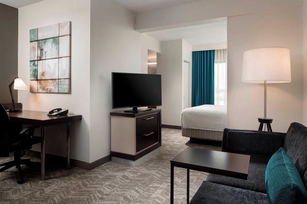 Suite, 1 King Bed with Sofa bed