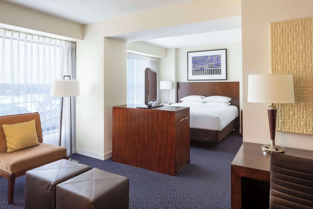 Room, 1 King Bed with Sofa bed