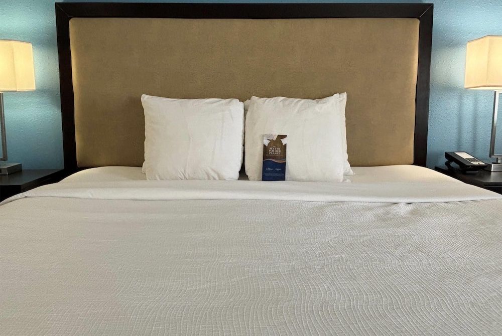 Room, 1 King Bed