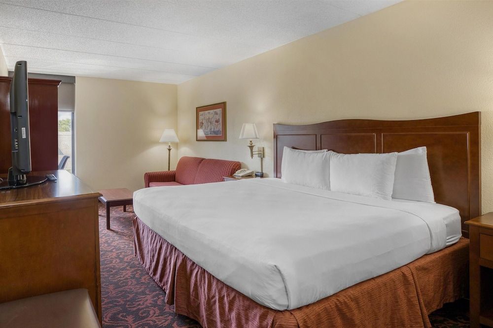 Standard Room, 1 King Bed, Non Smoking, Refrigerator (with Sofabed)