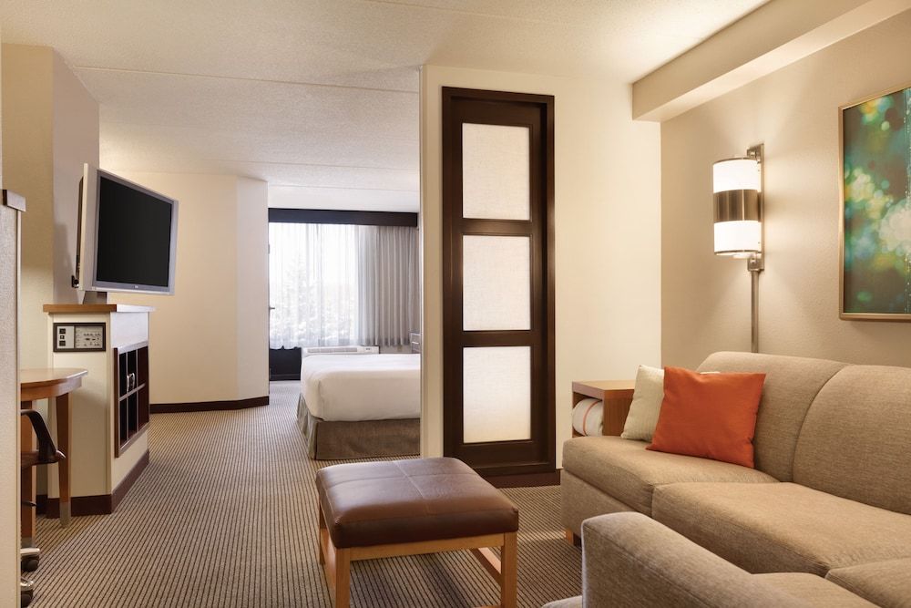 Room, 1 King Bed with Sofa bed (High Floor)