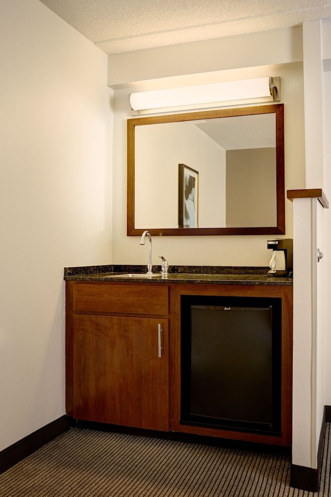 Room, 1 King Bed with Sofa bed, Accessible, Bathtub