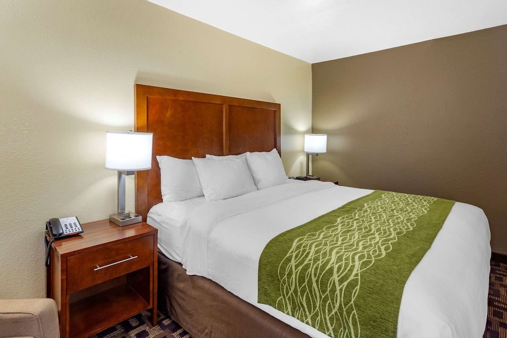 Standard Room, 1 King Bed, Accessible, Non Smoking