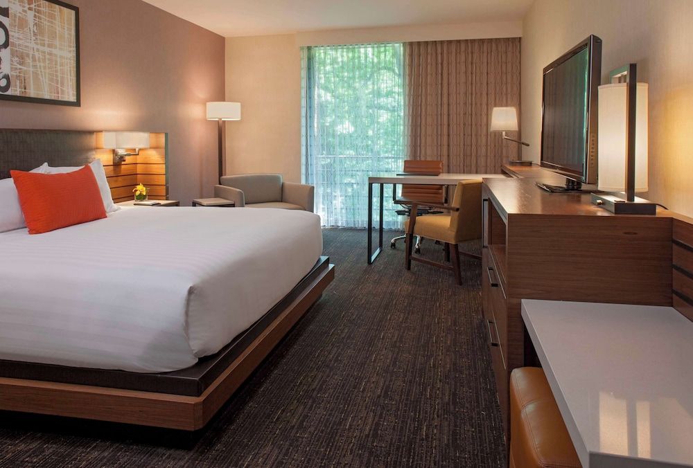 Room, 1 King Bed (Pure Room)