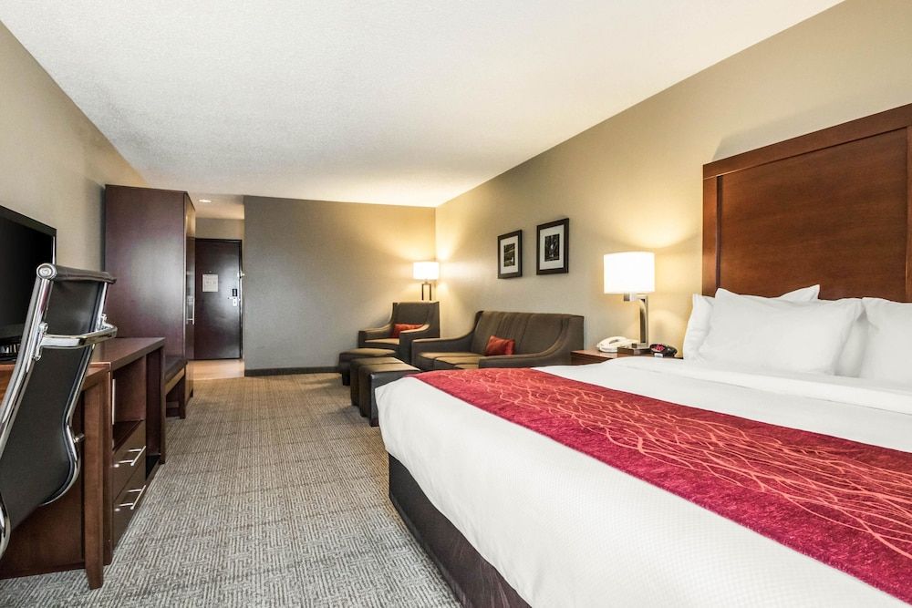 Standard Room, 1 King Bed with Sofa bed, Non Smoking