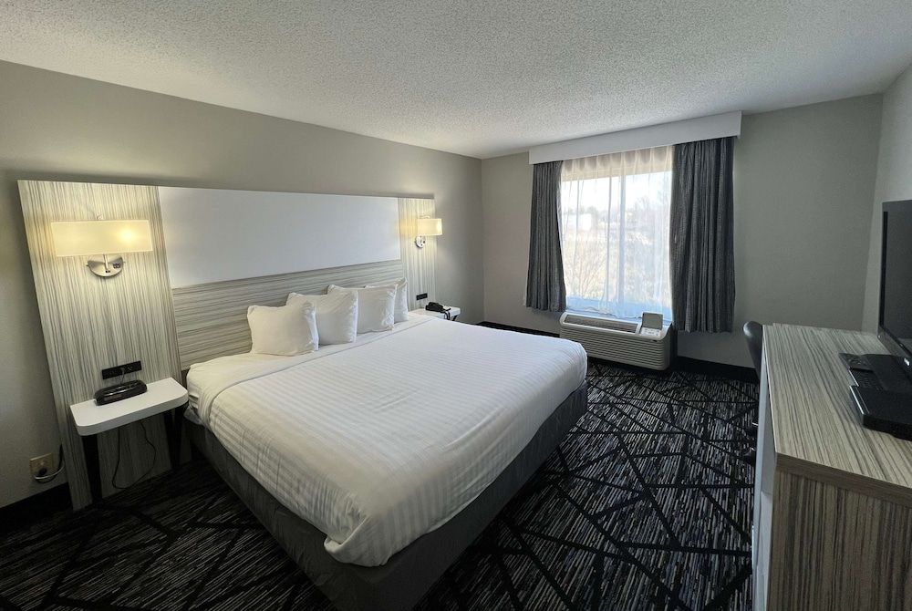 Executive Studio Suite, 1 King Bed with Sofa bed, Non Smoking
