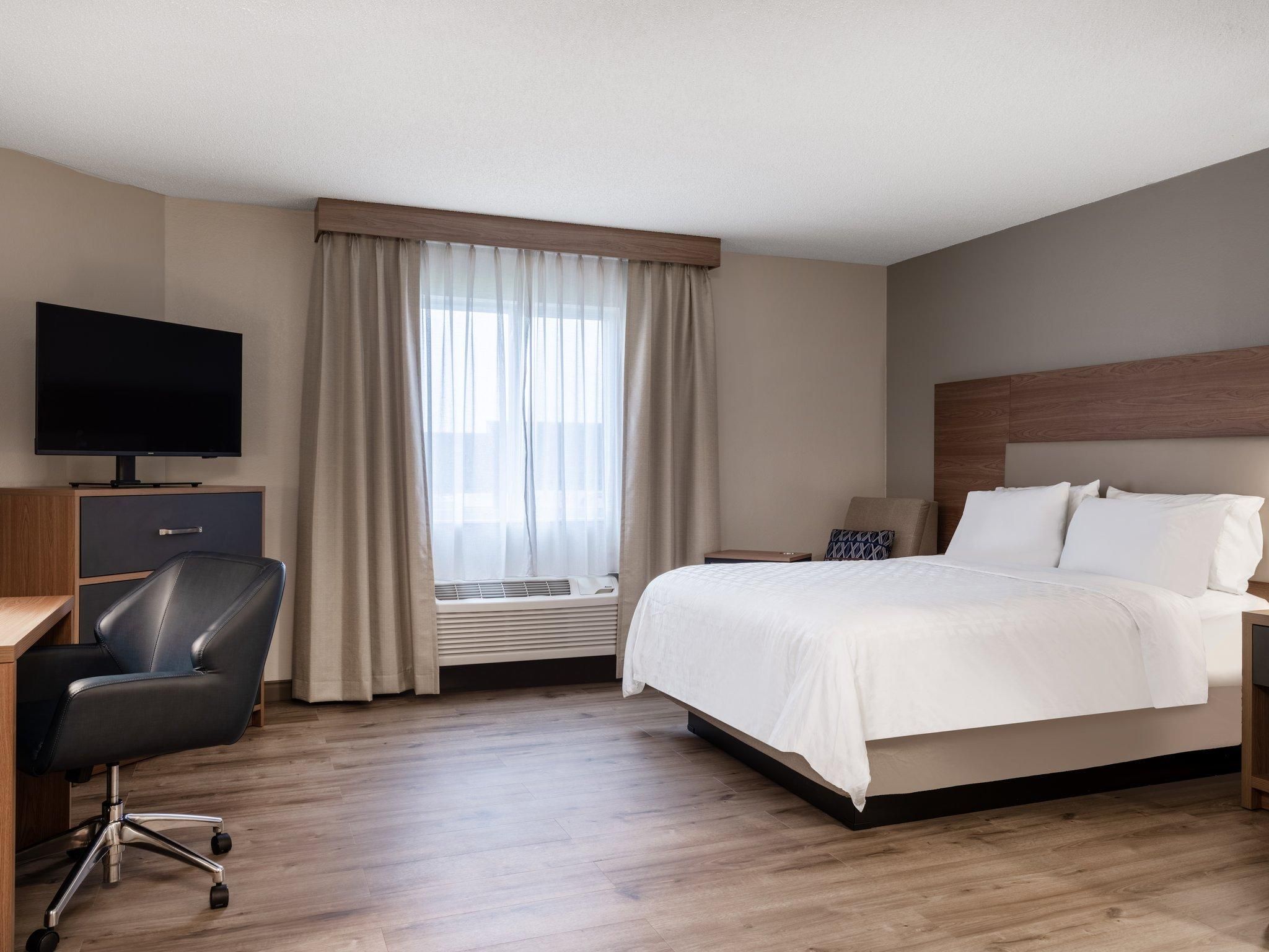 1 Queen Studio Suite