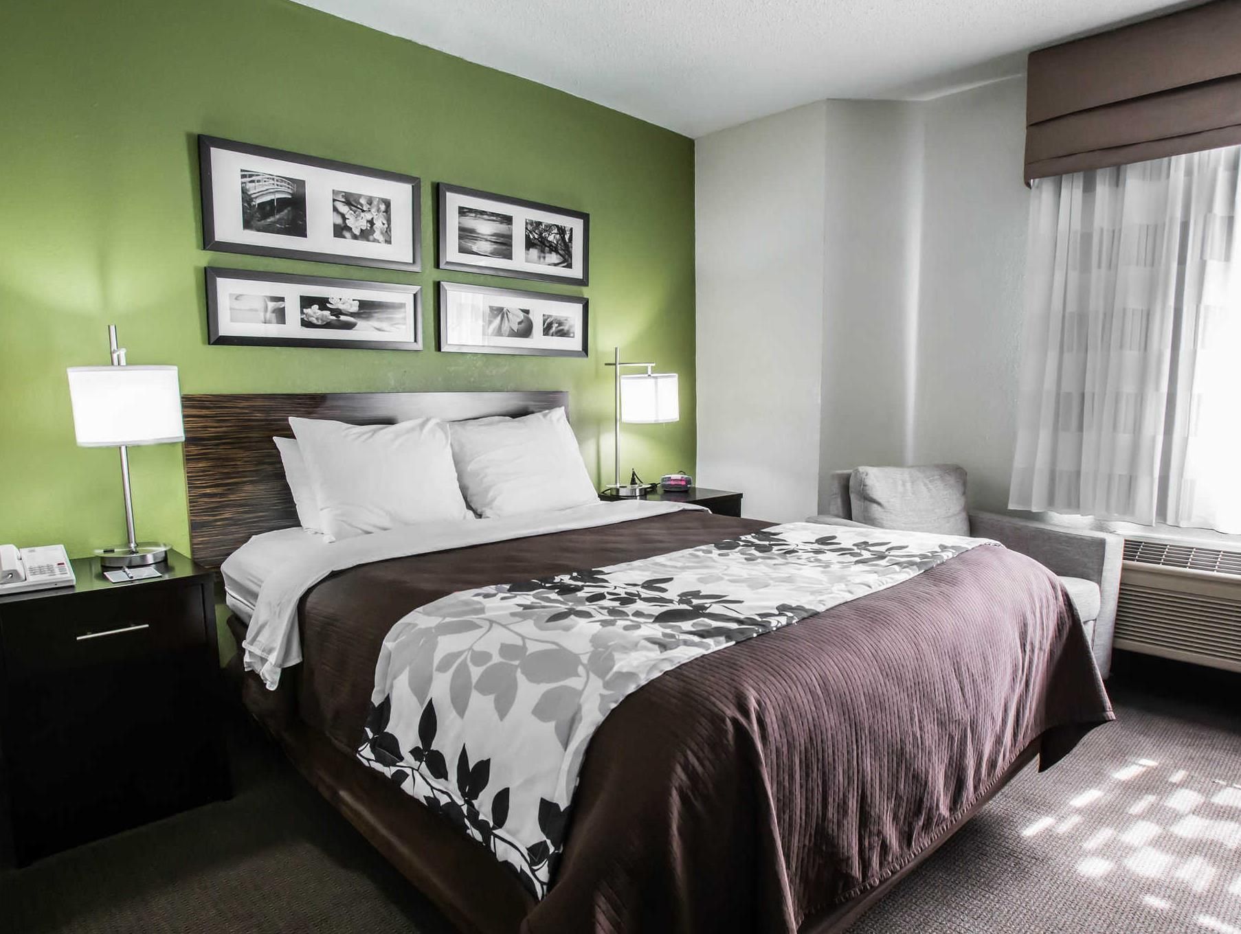1 Queen Bed, Nonsmoking, Accessible