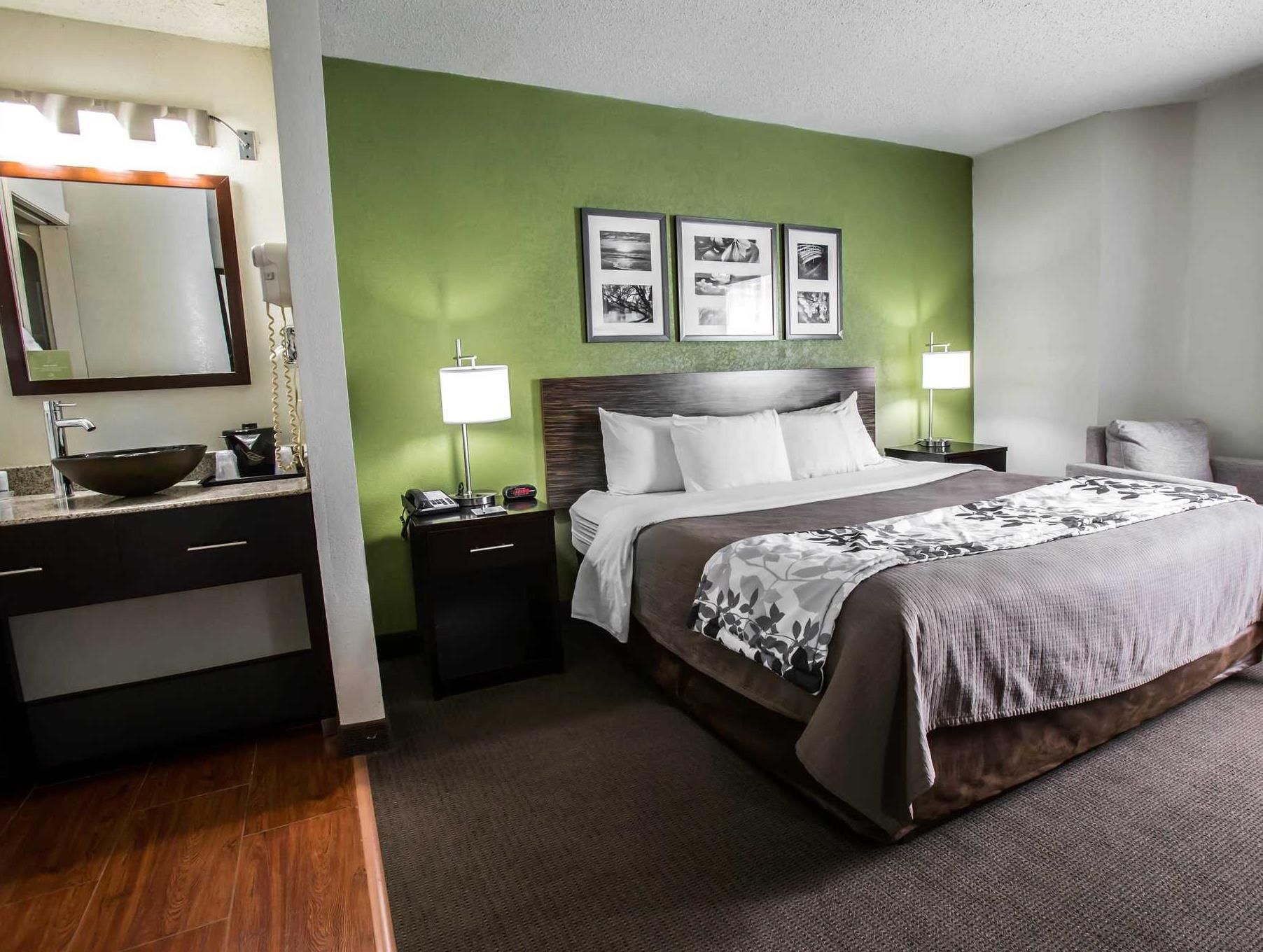 1 Queen Bed, Nonsmoking, Accessible