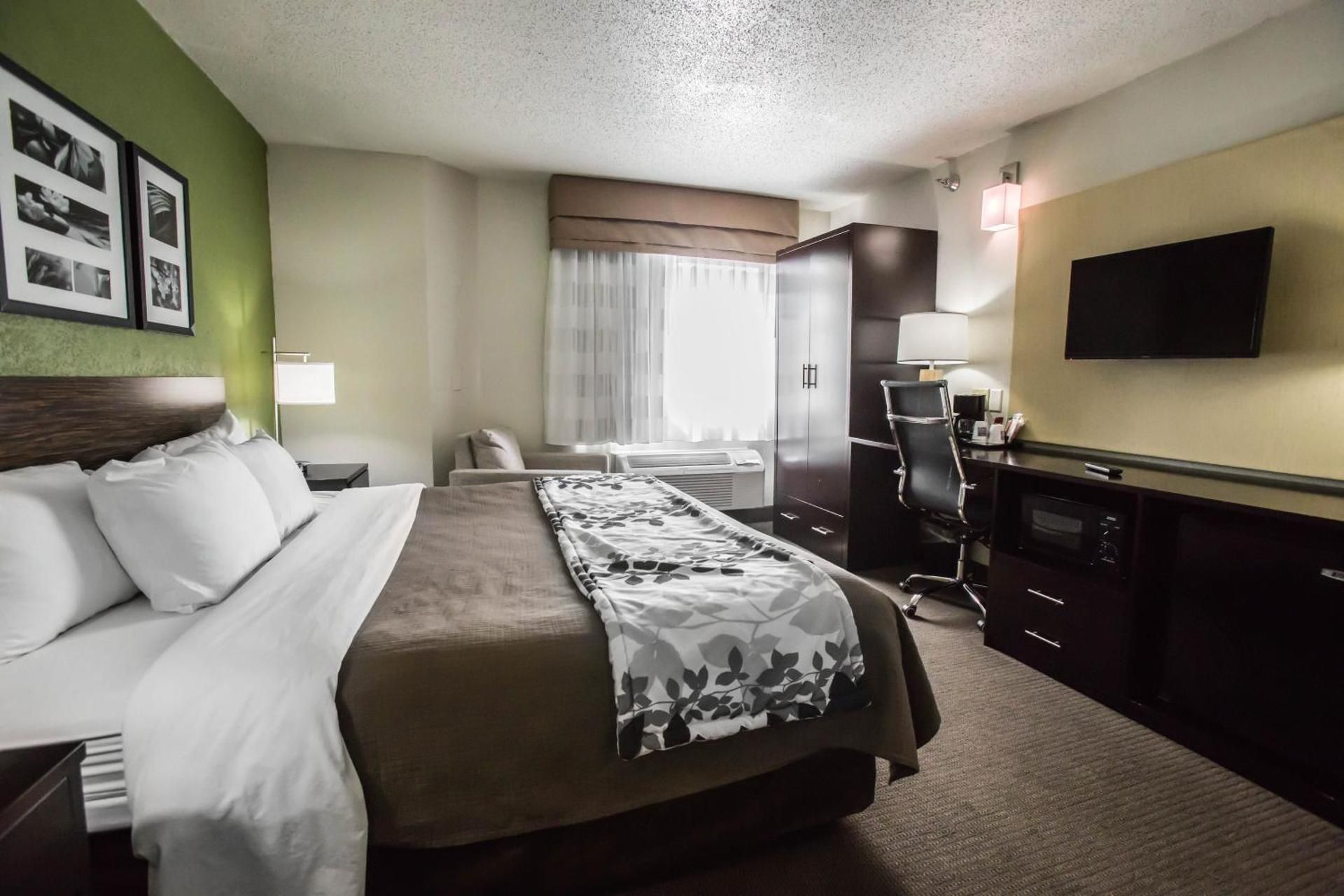 1 King Bed, Nonsmoking