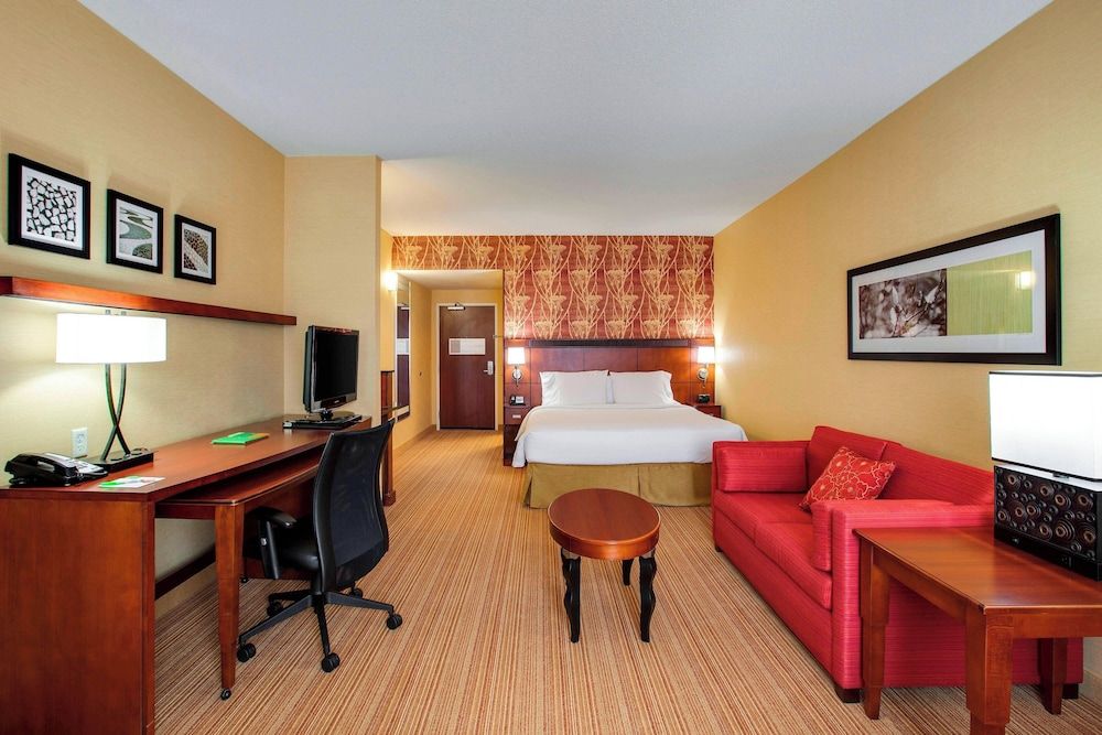 Room, 1 King Bed with Sofa bed