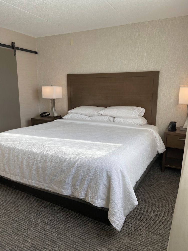 Suite, 1 Double Bed with Sofa bed, Accessible
