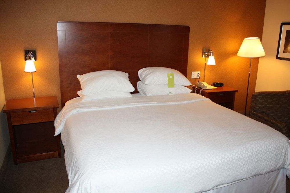 Superior Room, 1 King Bed, Non Smoking