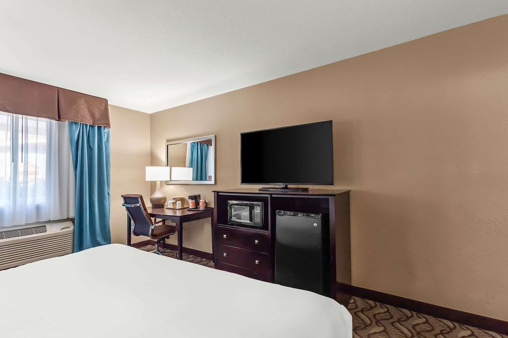 Standard Room, 1 King Bed, Non Smoking