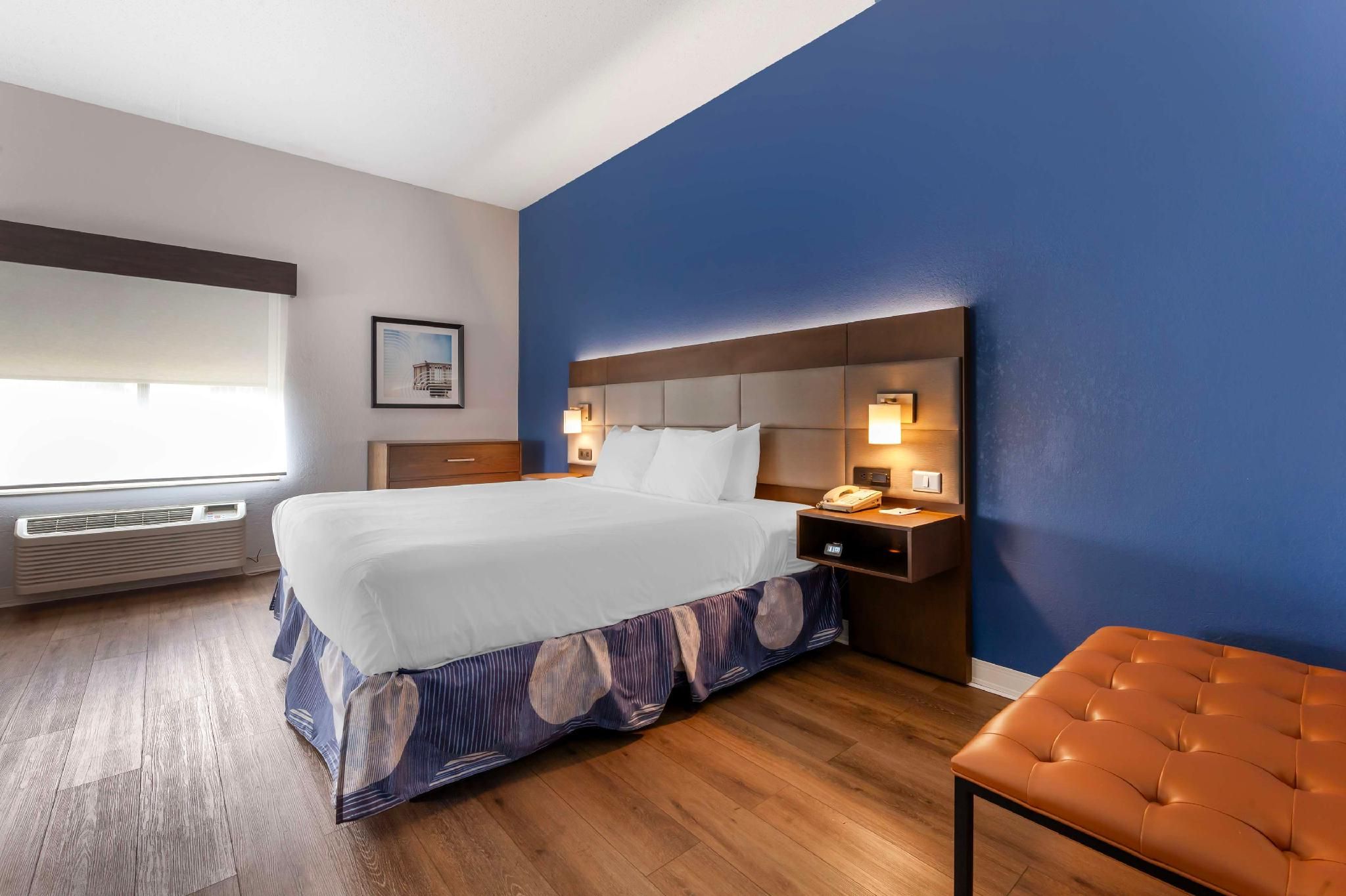 1 King Bed, Nonsmoking, Larger Room, Sofabed