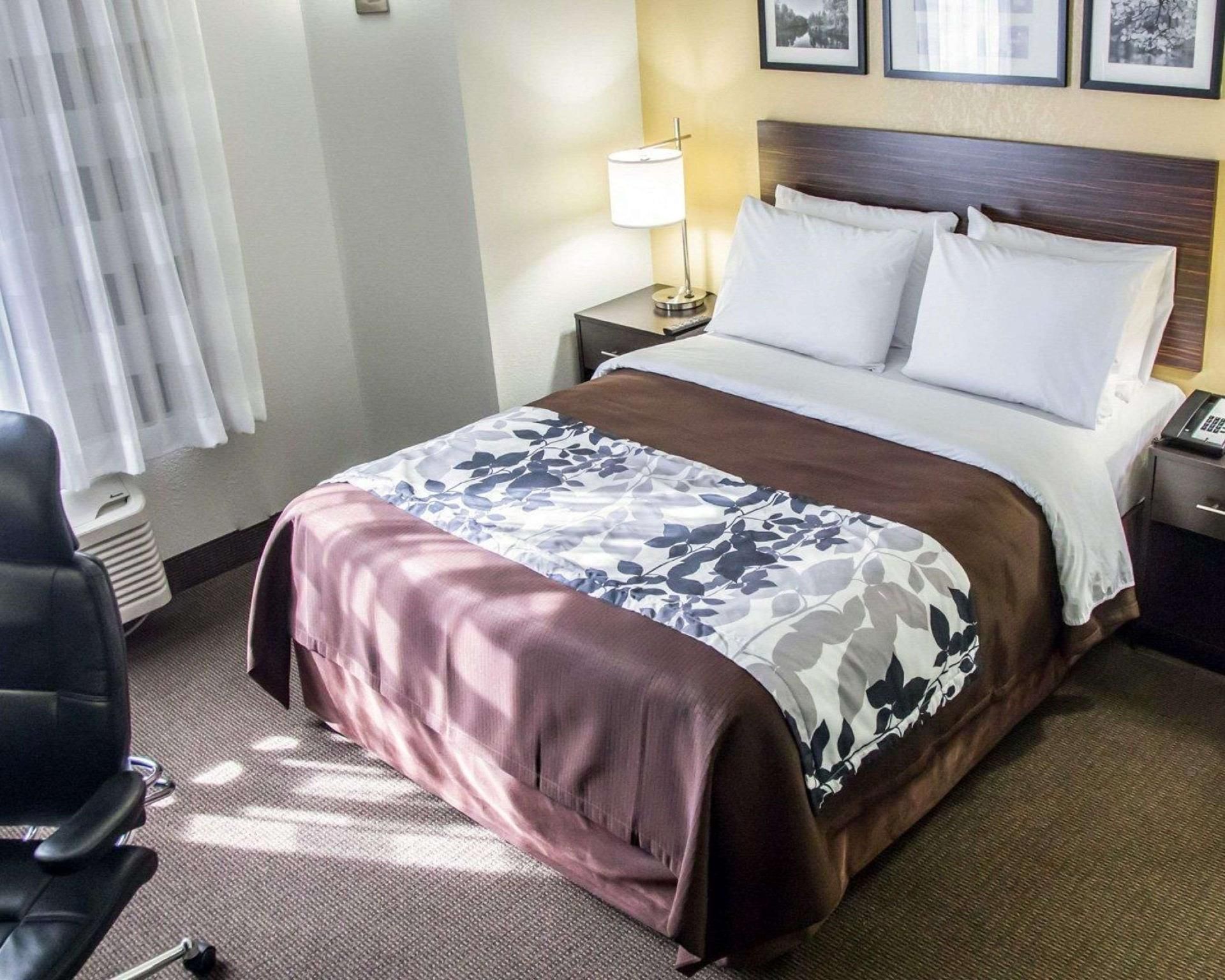 1 Queen Bed, Nonsmoking, Accessible