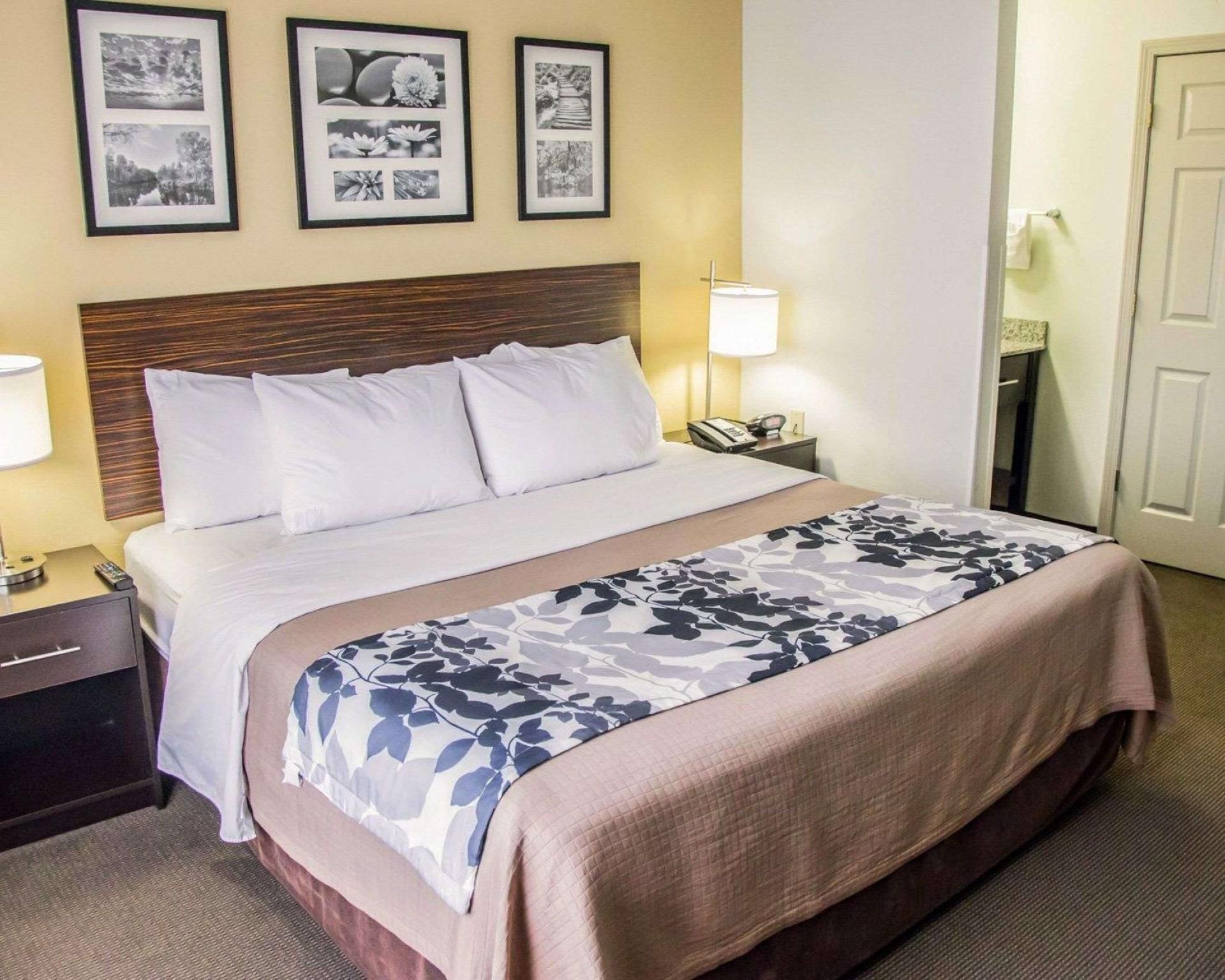 1 Bedroom Suite